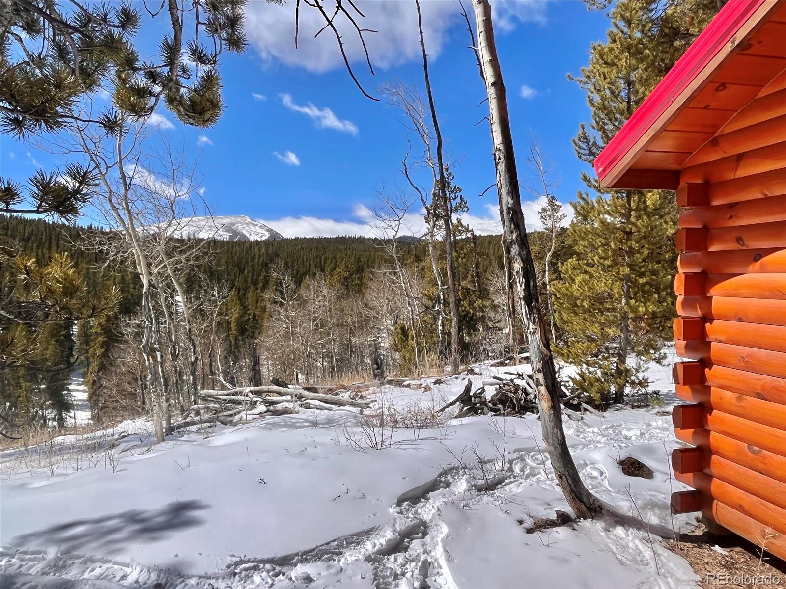 659 Venture Road Fairplay, CO 80440 - Photo 9 of 38 Gallery Image 9