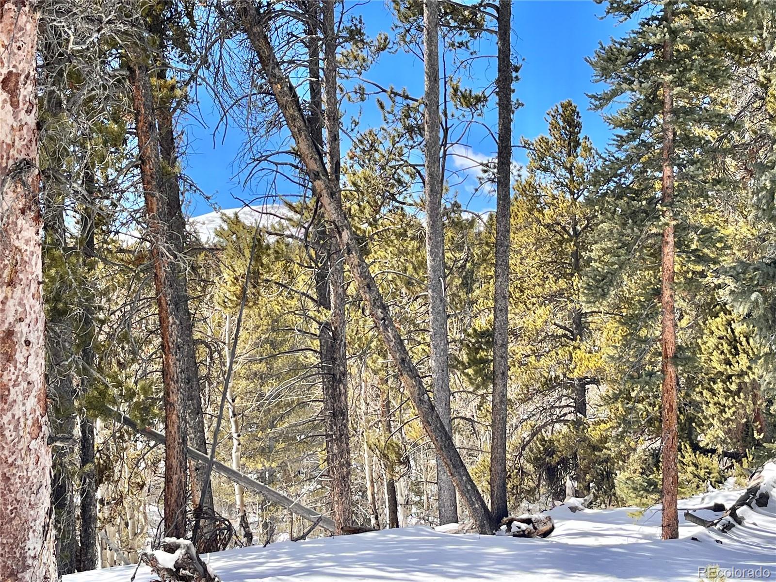 659 Venture Road Fairplay, CO 80440 - Photo 10 of 38 Gallery Image 10