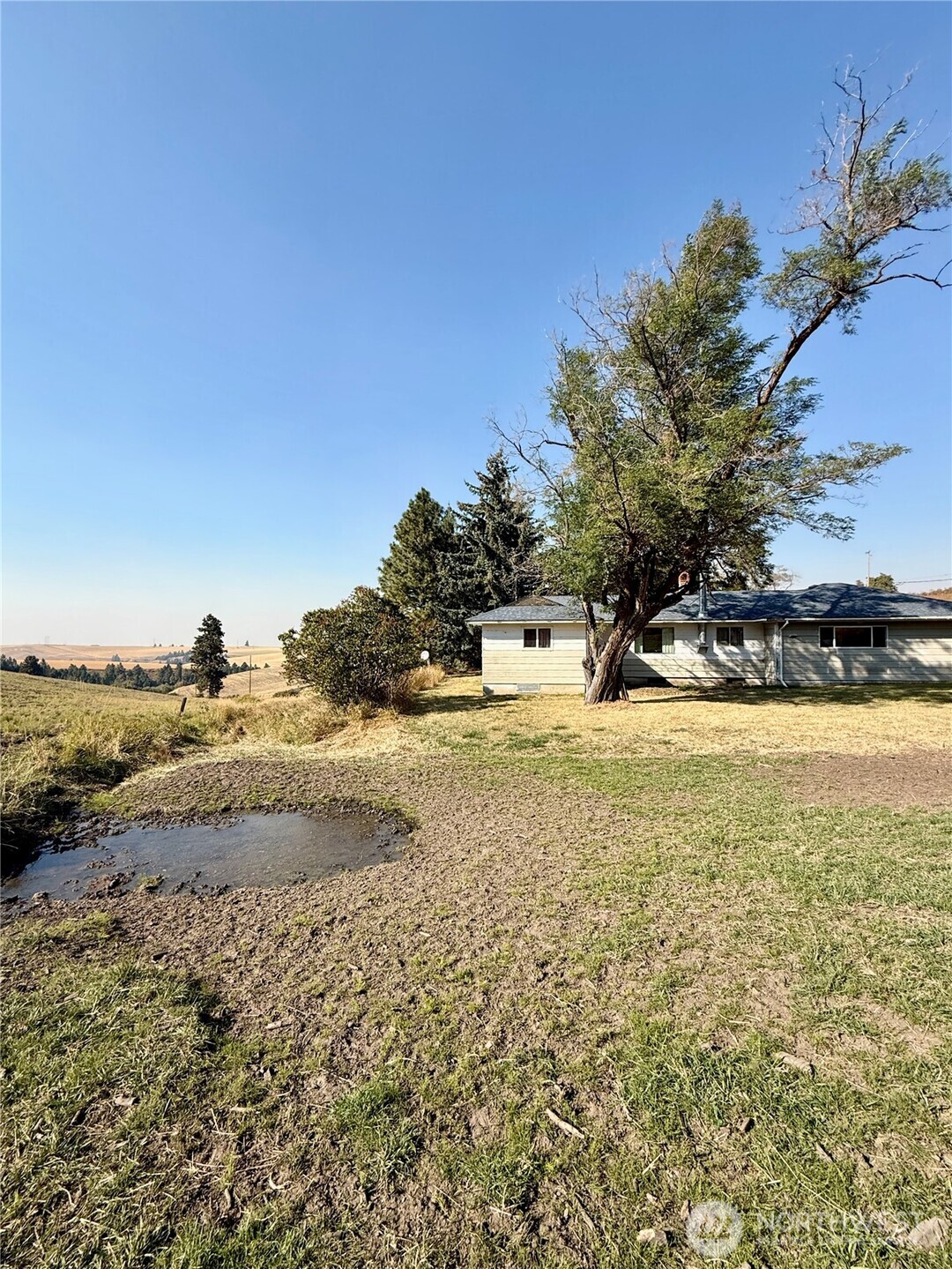 348 Hatley Gulch Road Dayton, WA 99328 - Photo 22 of 28