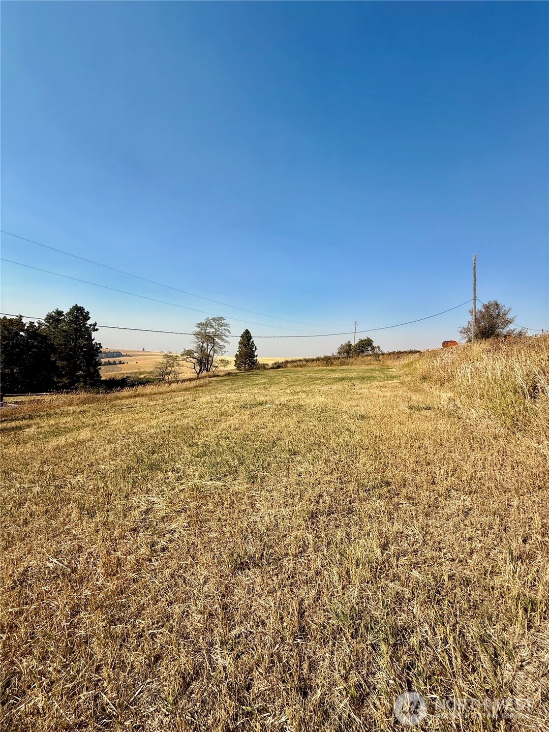 348 Hatley Gulch Road Dayton, WA 99328 - Photo 24 of 28