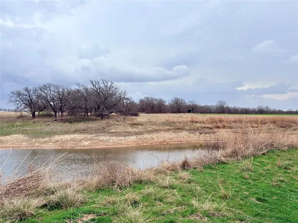 a view of a lake from a yard