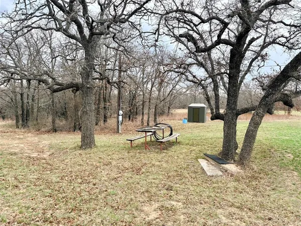 a view of a yard with a tree