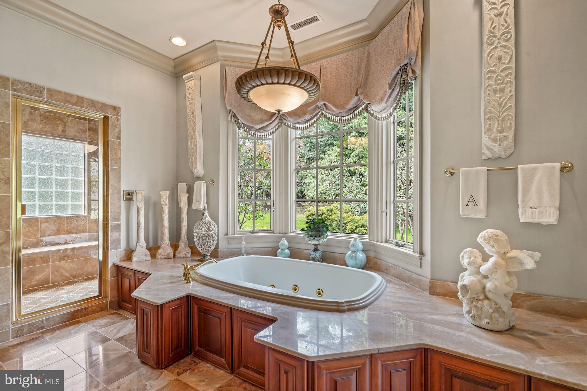 11300 Glen Road Potomac, MD 20854 - Photo 54 of 123 Primary Owner Bathroom