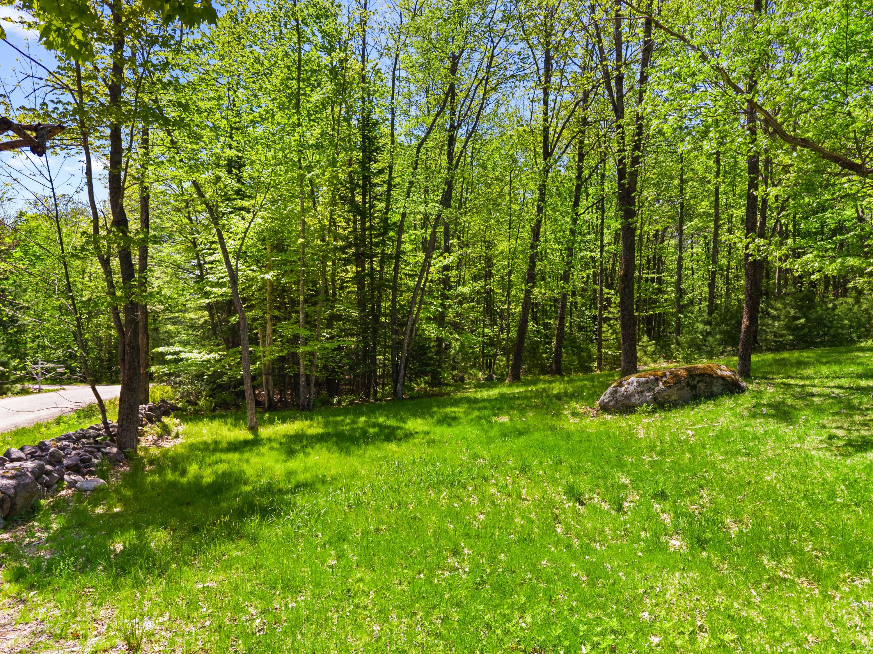 Lot 26 Rowe Hill Road Greenwood, ME 04255 - Photo 14 of 66 Rowe Hill Rd Lot 26 (19)