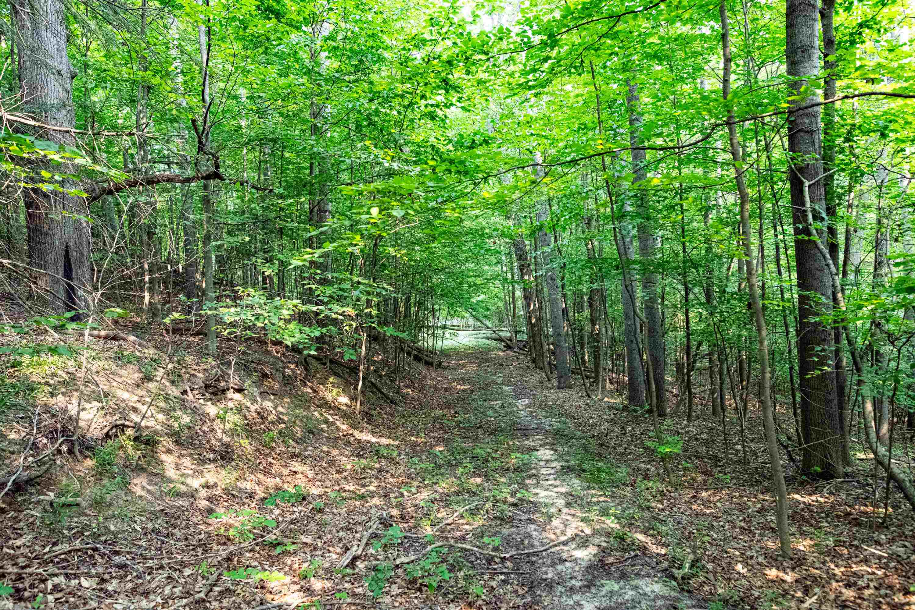 0 East Grandview Road Traverse City, MI 49684 - Photo 21 of 24