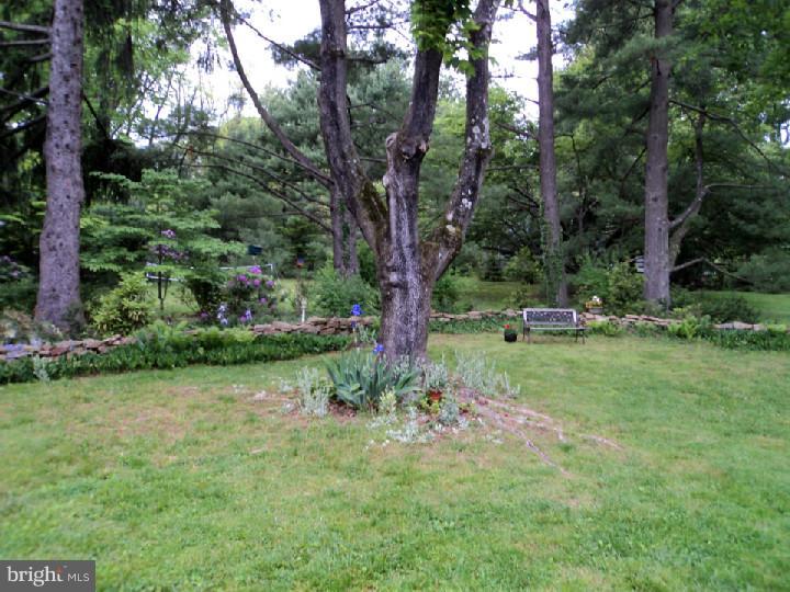 5913 Dewees Road Doylestown, PA 18902 - Photo 22 of 25 Gallery Image 22