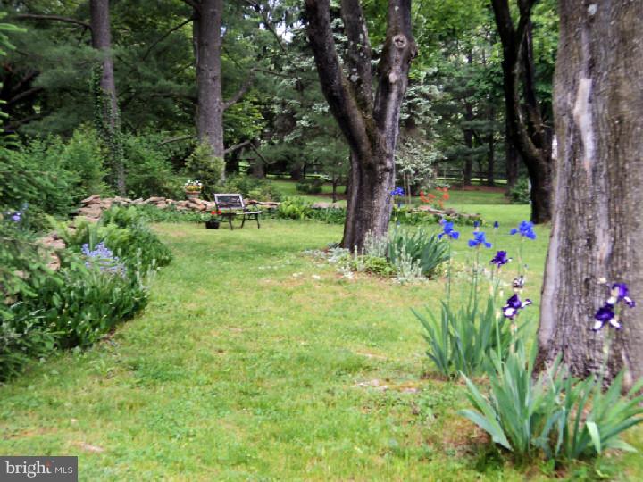 5913 Dewees Road Doylestown, PA 18902 - Photo 24 of 25 Gallery Image 24