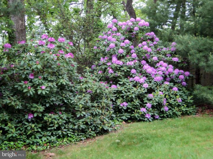 5913 Dewees Road Doylestown, PA 18902 - Photo 25 of 25 Gallery Image 25
