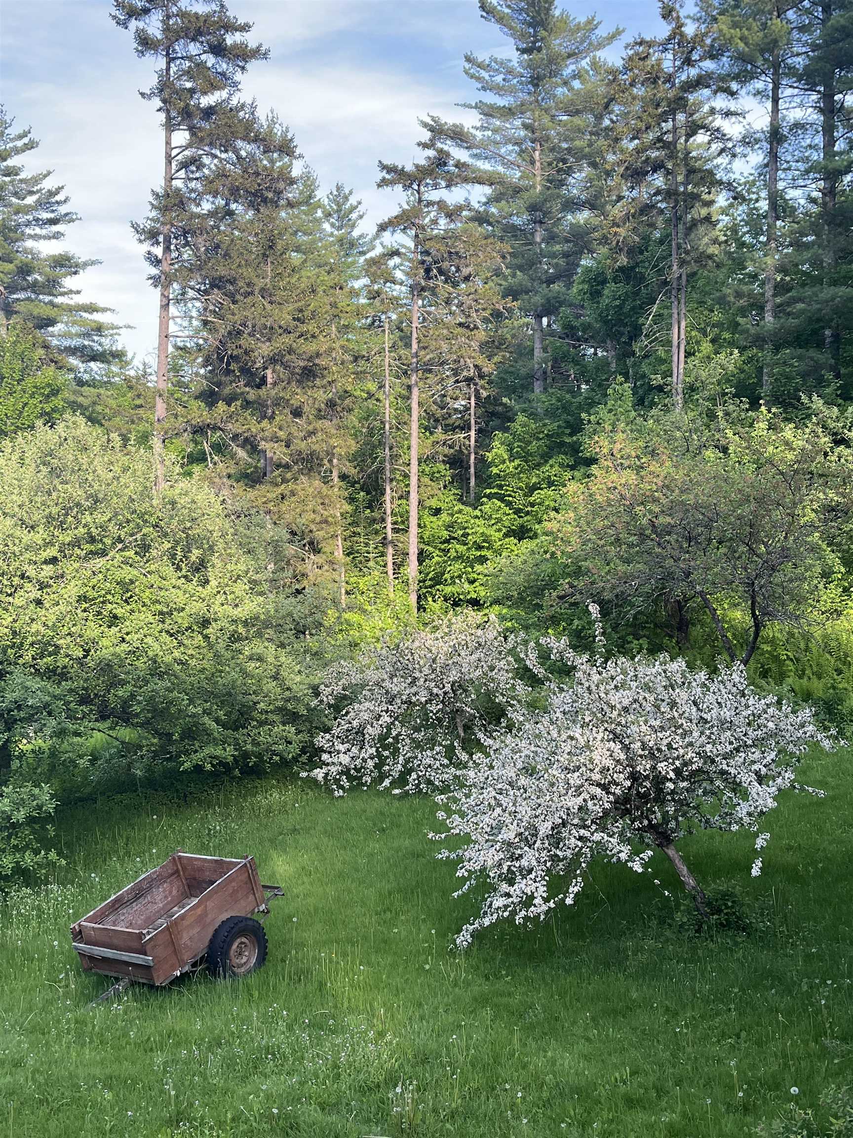 1378 Hallstrom Road Northfield, VT 05663 - Photo 48 of 58