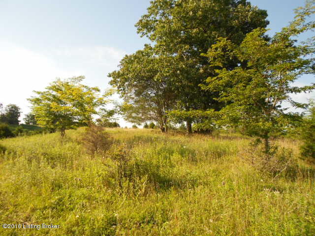 1325 Burgin Road Lawrenceburg, KY 40342 - Photo 9 of 12 DSCN0519