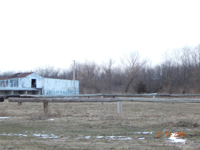 2827 East 2575th Road Marseilles, IL 61341 - Photo 11 of 15 a view of a yard with large trees