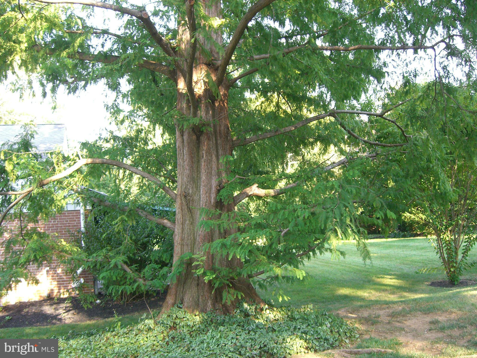 Exterior Rear