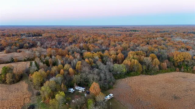 a view of a yard with a trees