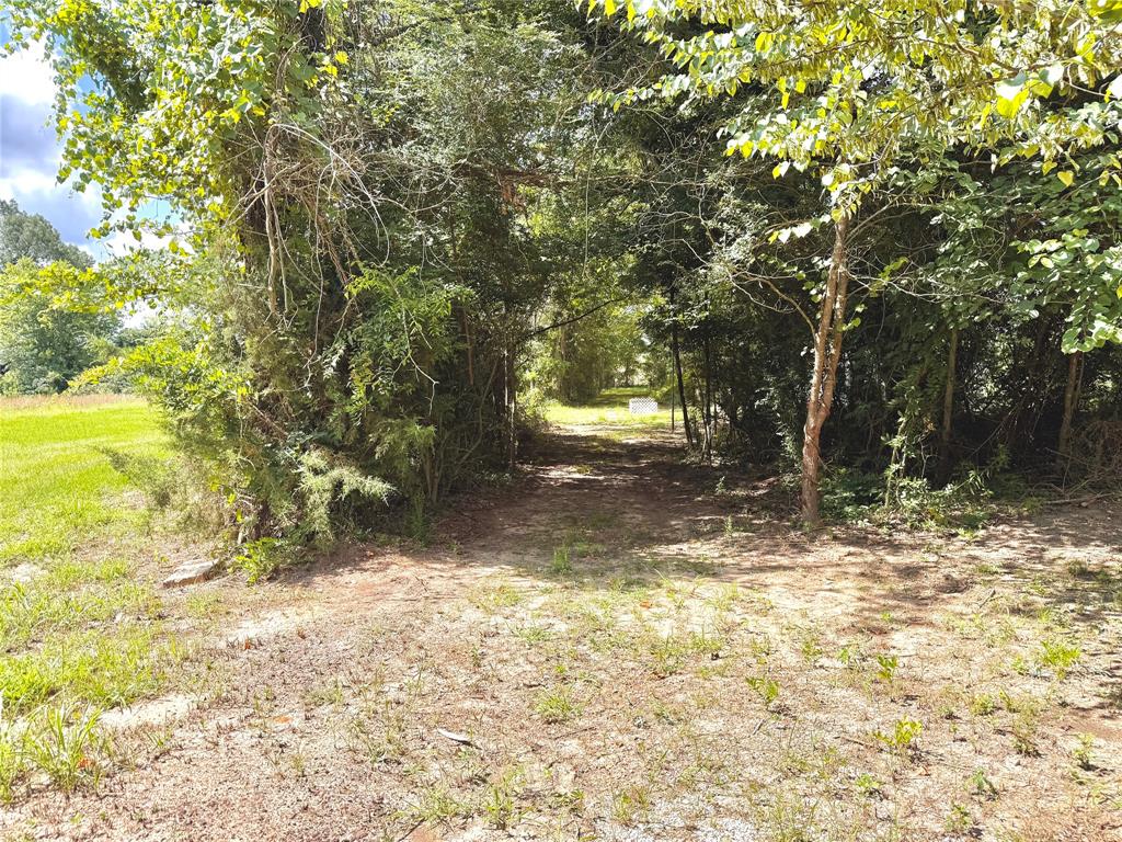 3235 County Road Cookville, TX 75558 - Photo 28 of 37 a view of a yard with a tree