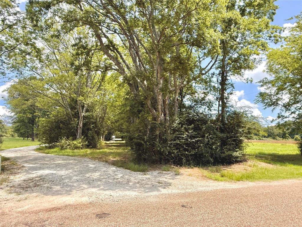 3235 County Road Cookville, TX 75558 - Photo 31 of 37