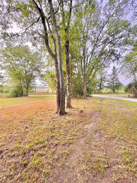 3235 County Road Cookville, TX 75558 - Photo 36 of 37