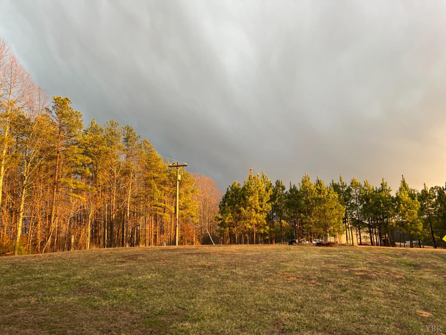 499 Reedy Spring Road Spout Spring, VA 24593 - Photo 51 of 66 a view of big yard with large trees