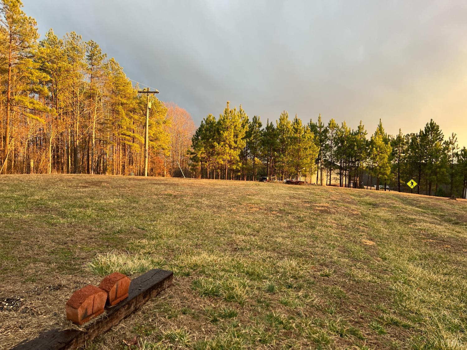 499 Reedy Spring Road Spout Spring, VA 24593 - Photo 52 of 66