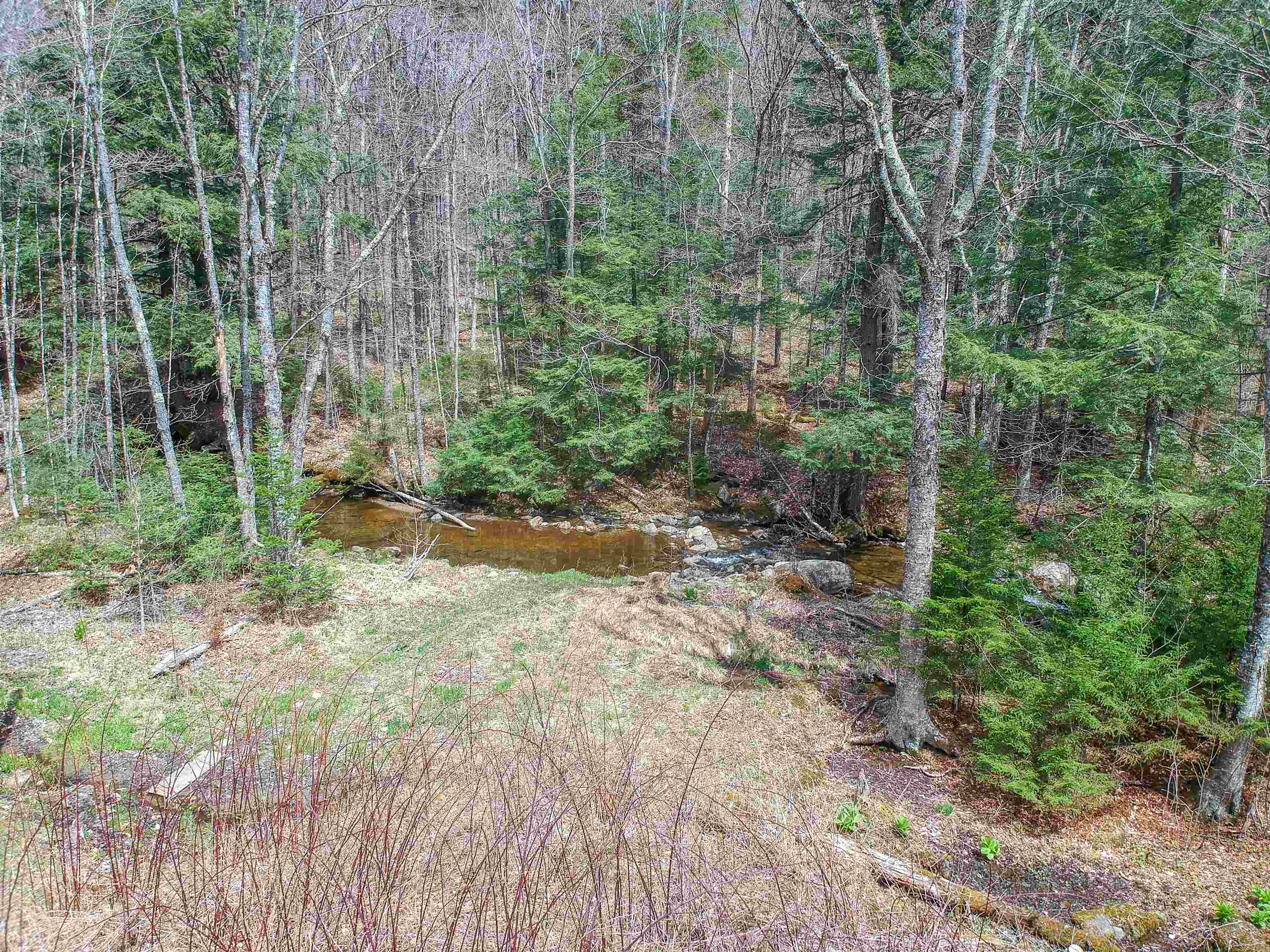 76 Ellis Brook Road West Dover, VT 05356 - Photo 8 of 33