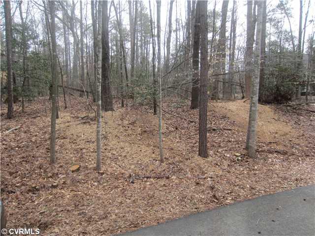 2521 Camelback Road North Chesterfield, VA 23236 - Photo 5 of 6
