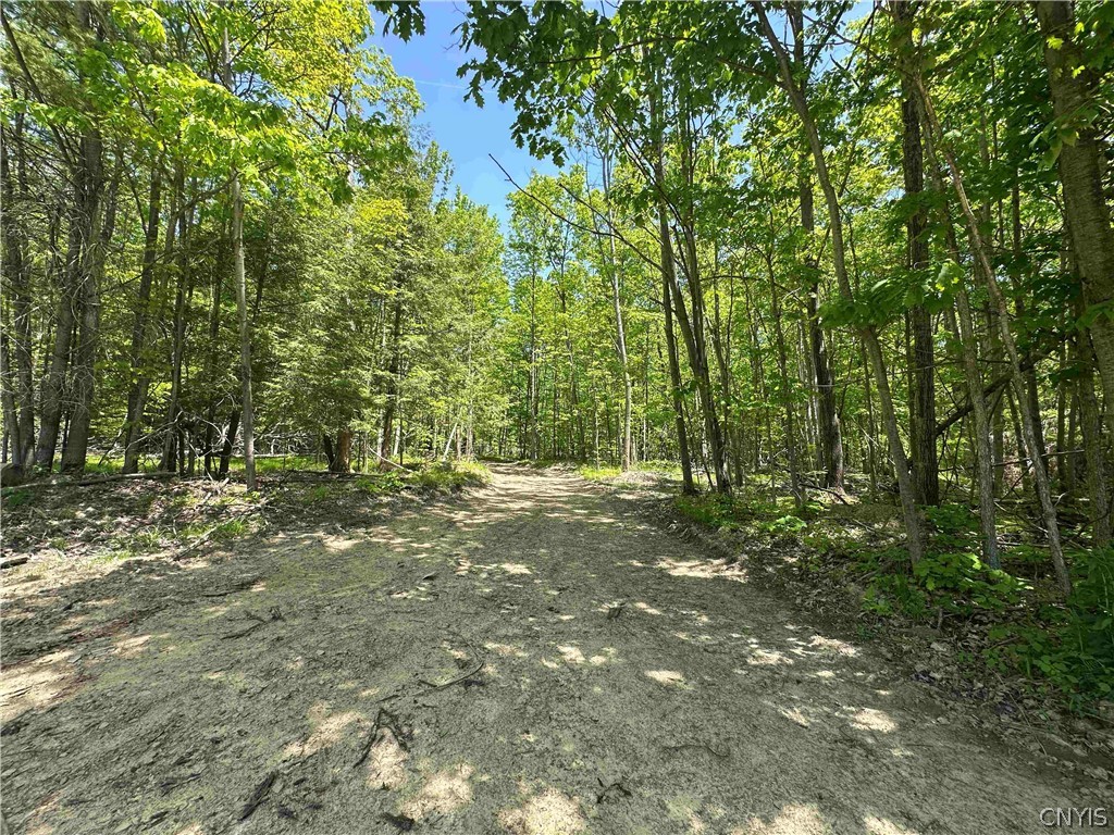 River Road Belmont, NY 14813 - Photo 15 of 23