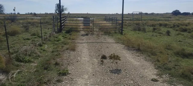a white house that has tree in front of it