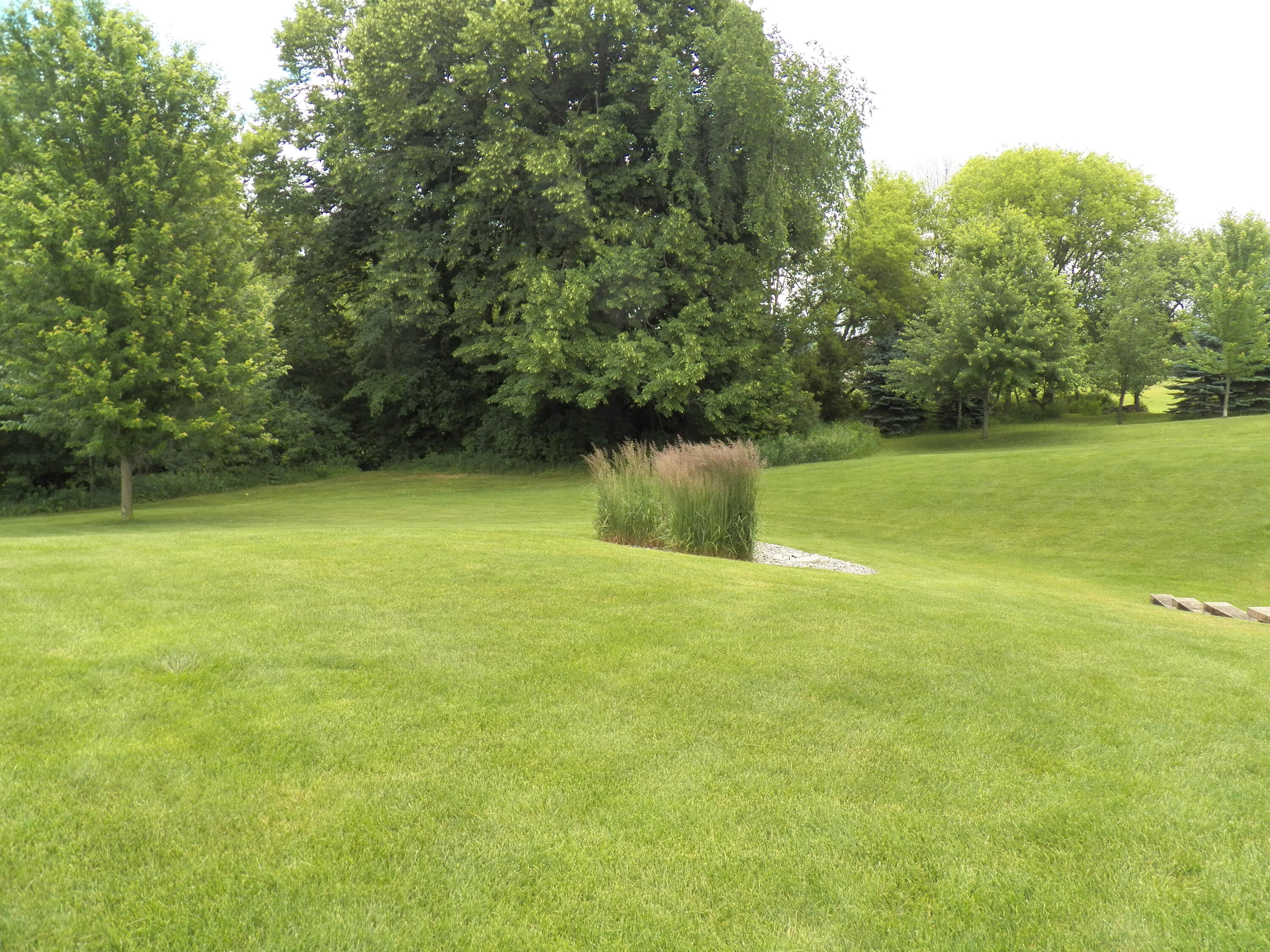 11105 Meadow Ridge Road Whitelaw, WI 54247 - Photo 98 of 126 Backyard View