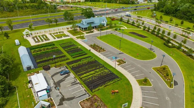 a view of a swimming pool with a garden