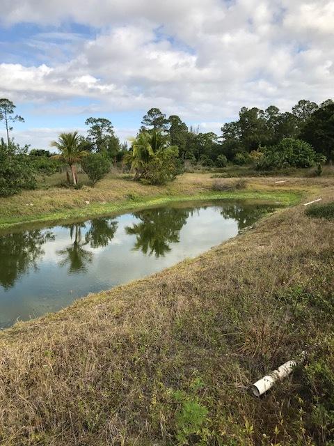 Lot Tripp Lot Tripp Road Loxahatchee, FL 33470 - Photo 11 of 25 IMG_6530