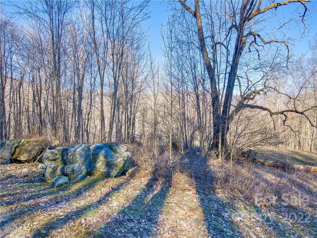 0 Appaloosa Trail, Unit R11 Waynesville, NC 28785 - Photo 3 of 10 Gallery Image 3