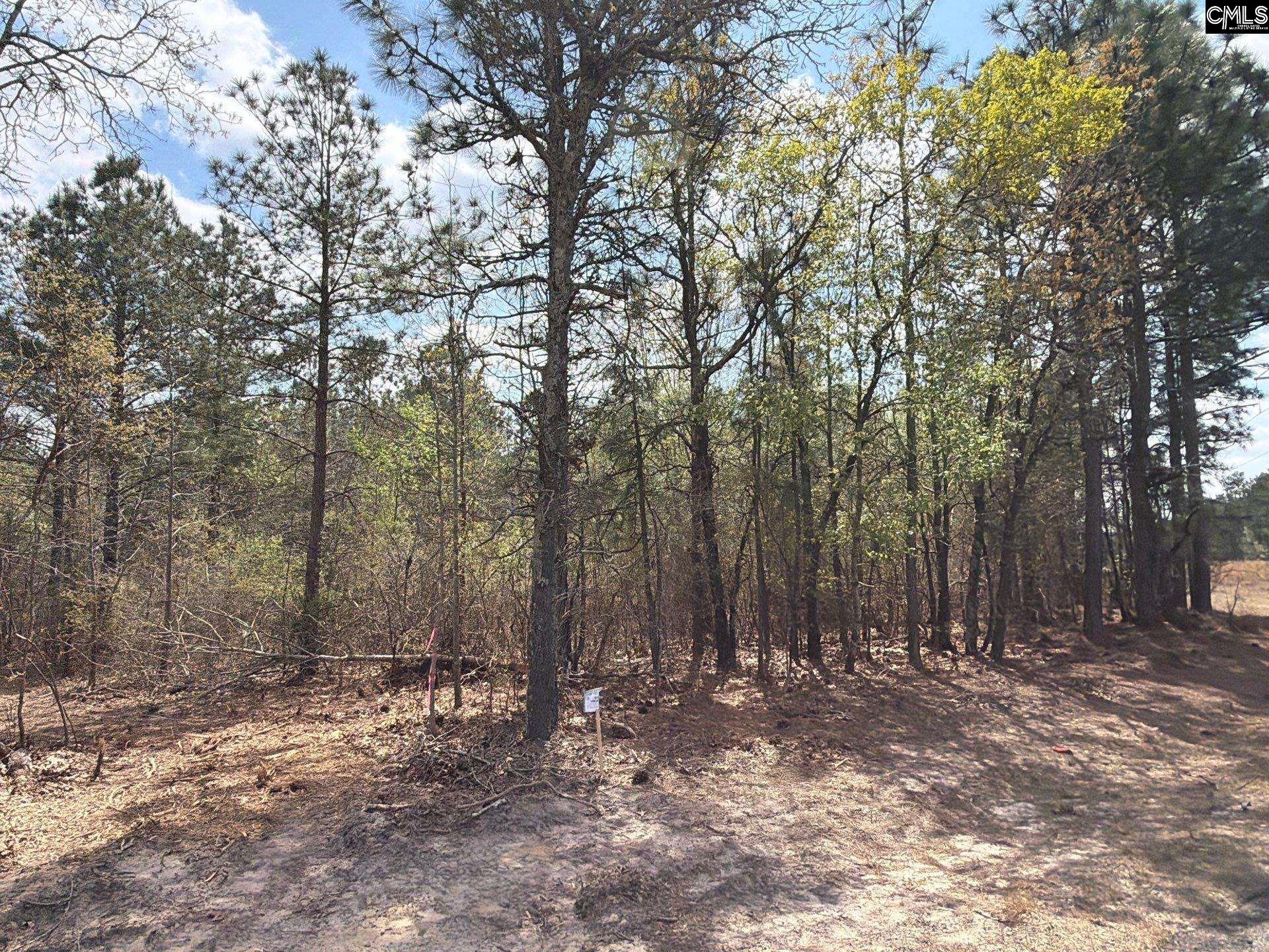 3 Mt Calvary Rd Ridge Spring Ridge Spring, SC 29129 - Photo 7 of 27