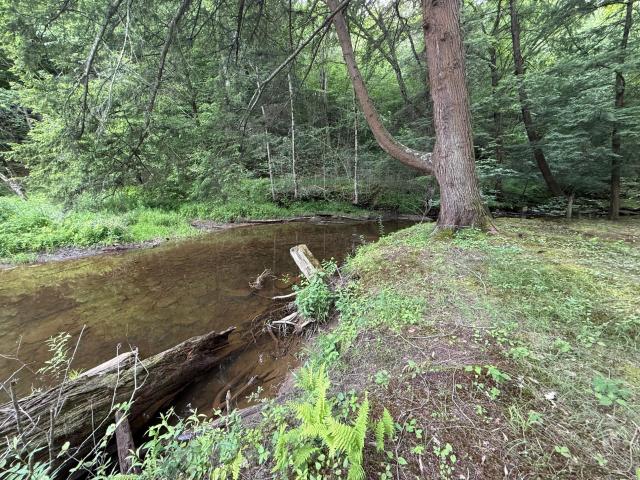 184 Fork Run Road Sheffield, PA 16347 - Photo 18 of 21 Gallery Image 18