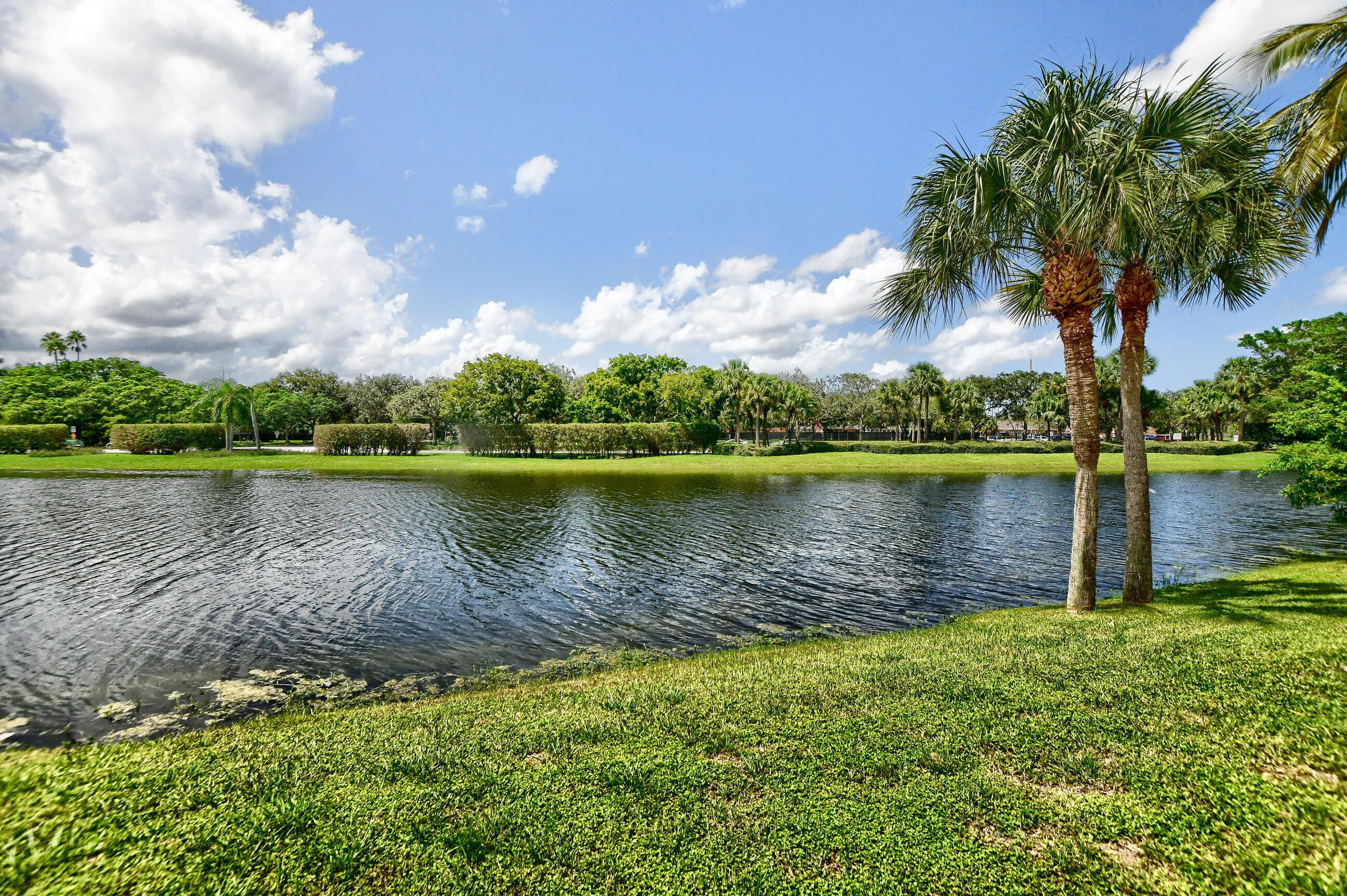 11073 Harbour Springs Circle Boca Raton, FL 33428 - Photo 44 of 75 43_ebf_0945-hdr(5)