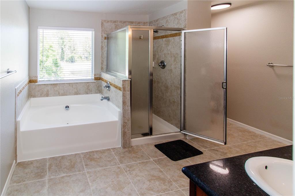 11727 Colony Lakes Boulevard New Port Richey, FL 34654 - Photo 17 of 33
