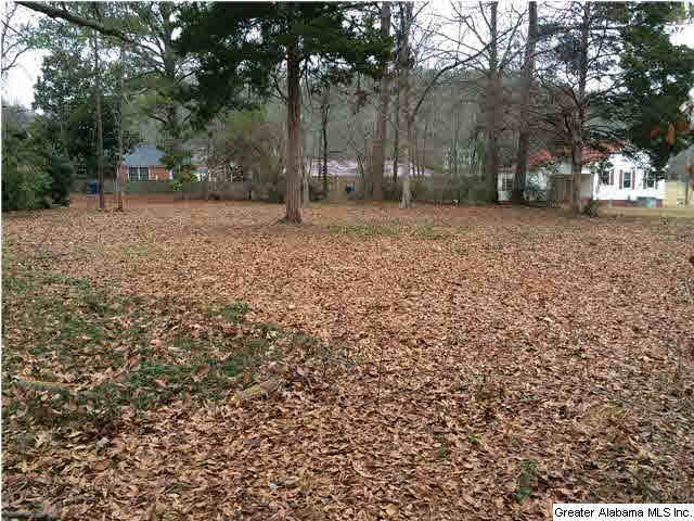 503 5th Street North Oneonta, AL 35121 - Photo 6 of 32