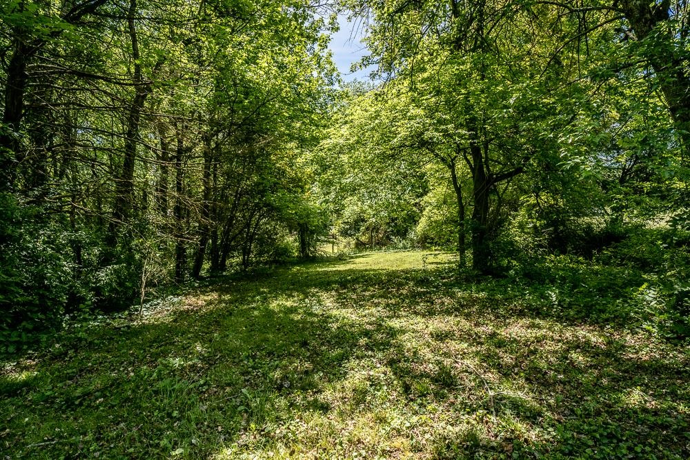 660 Tryme Road Reva, VA 22735 - Photo 40 of 40 a view of a green field with a tree
