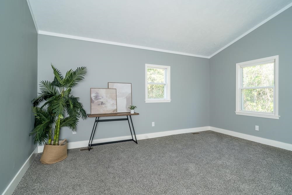 660 Tryme Road Reva, VA 22735 - Photo 8 of 40 a room with window and potted plant
