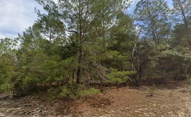 $8,499 | 522 Janet Avenue, Interlachen, FL 32148