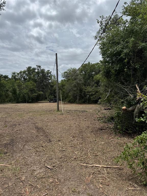 3101 Bruton Road Plant City, FL 33565 - Photo 4 of 13