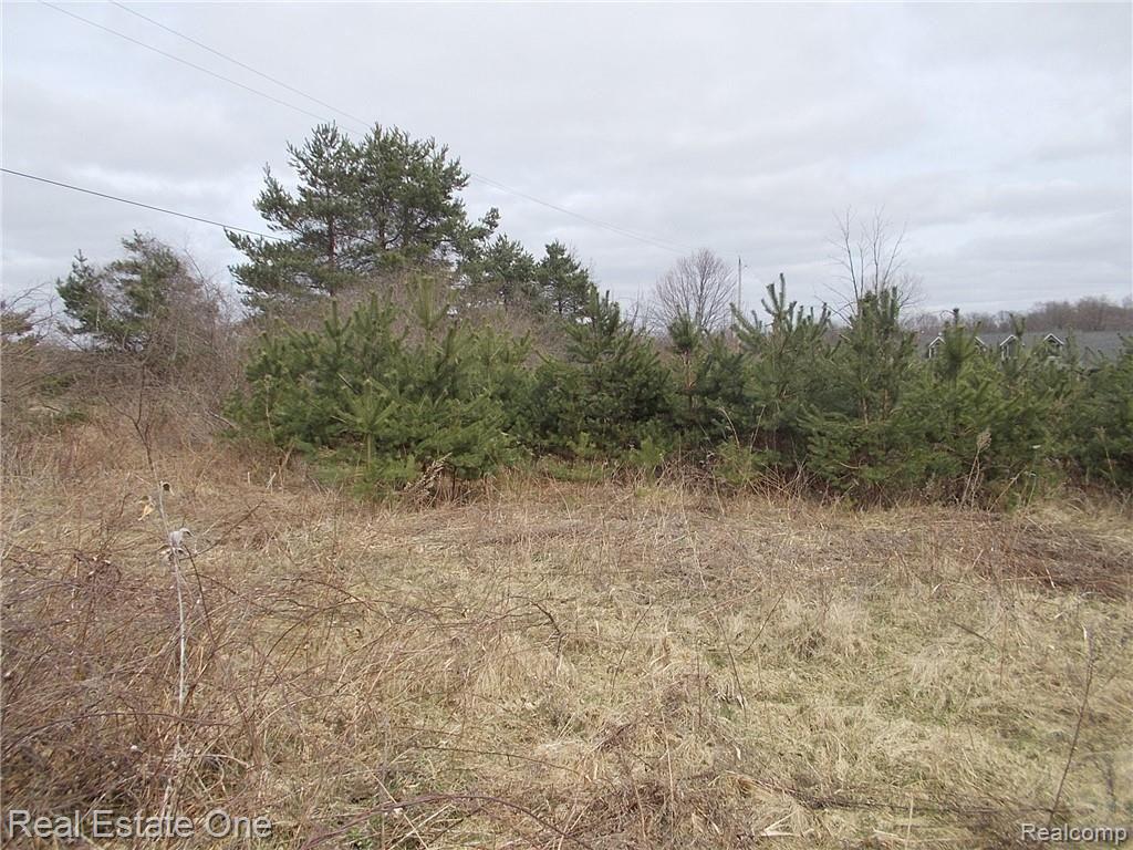 0 North Lake George Road Oakland, MI 48363 - Photo 25 of 55