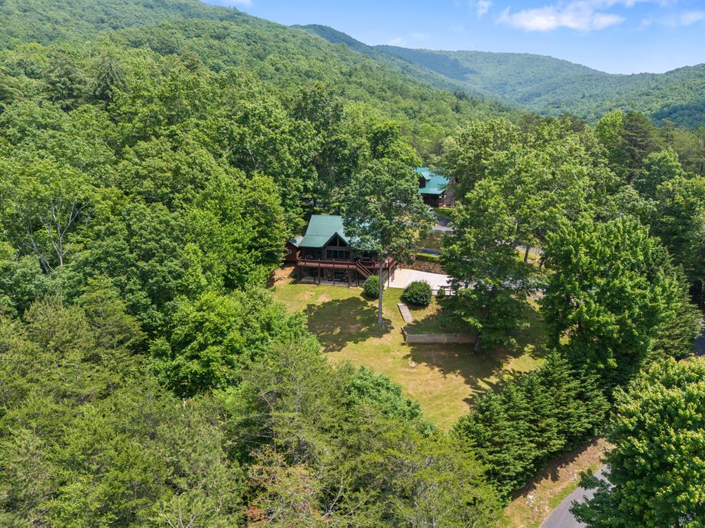 115 Wildcat Run Suches, GA 30572 - Photo 12 of 67