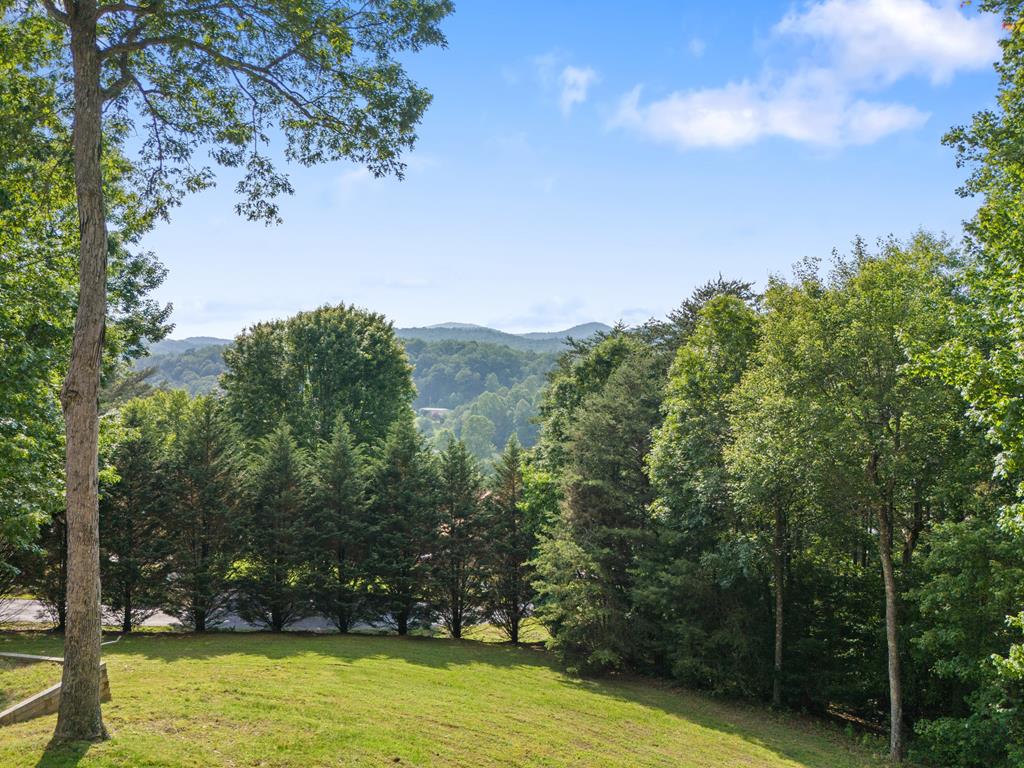 115 Wildcat Run Suches, GA 30572 - Photo 3 of 67