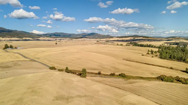 $289,500 | 19207 South Harvard Road, Rockford, WA 99030