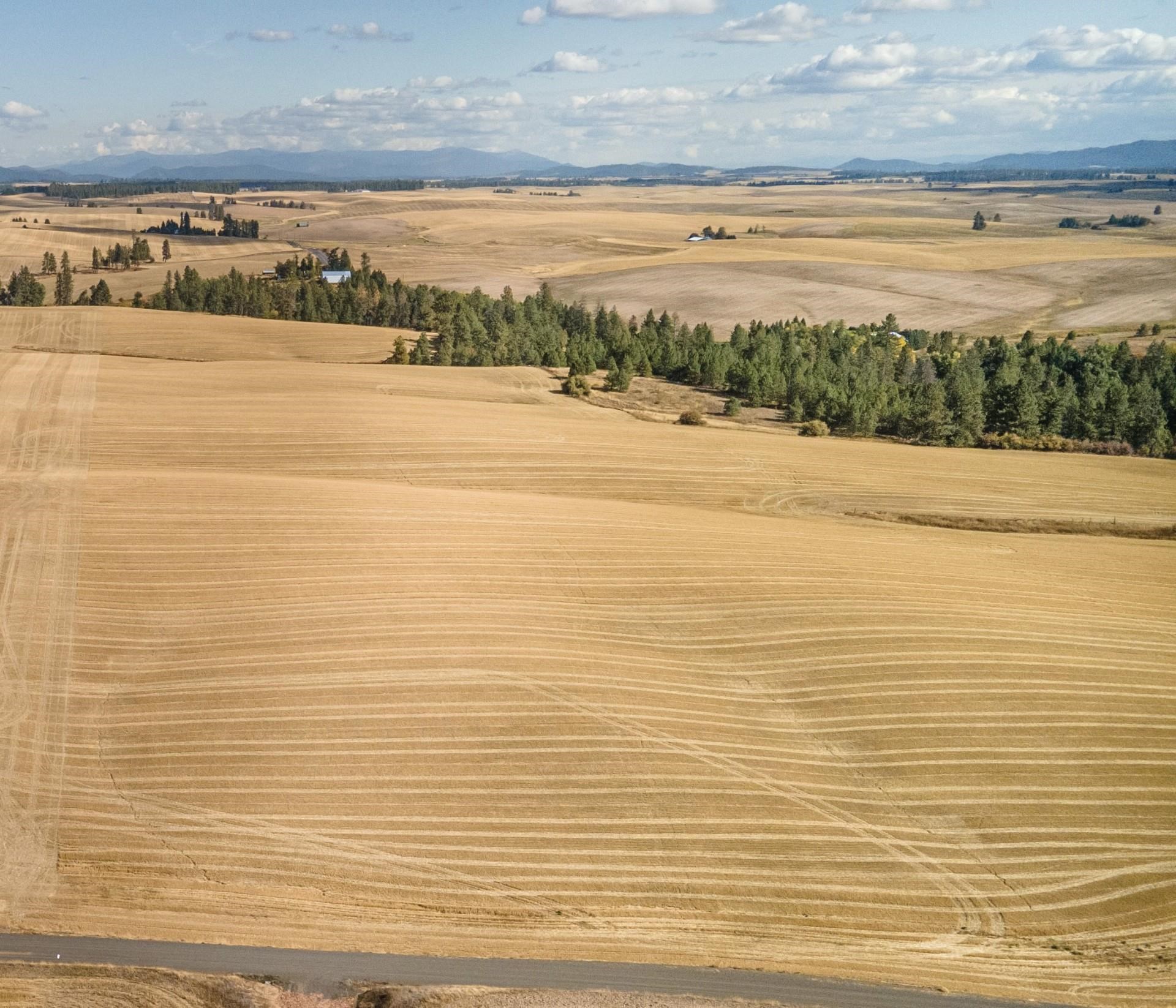 19207 South Harvard Road Rockford, WA 99030 - Photo 2 of 5
