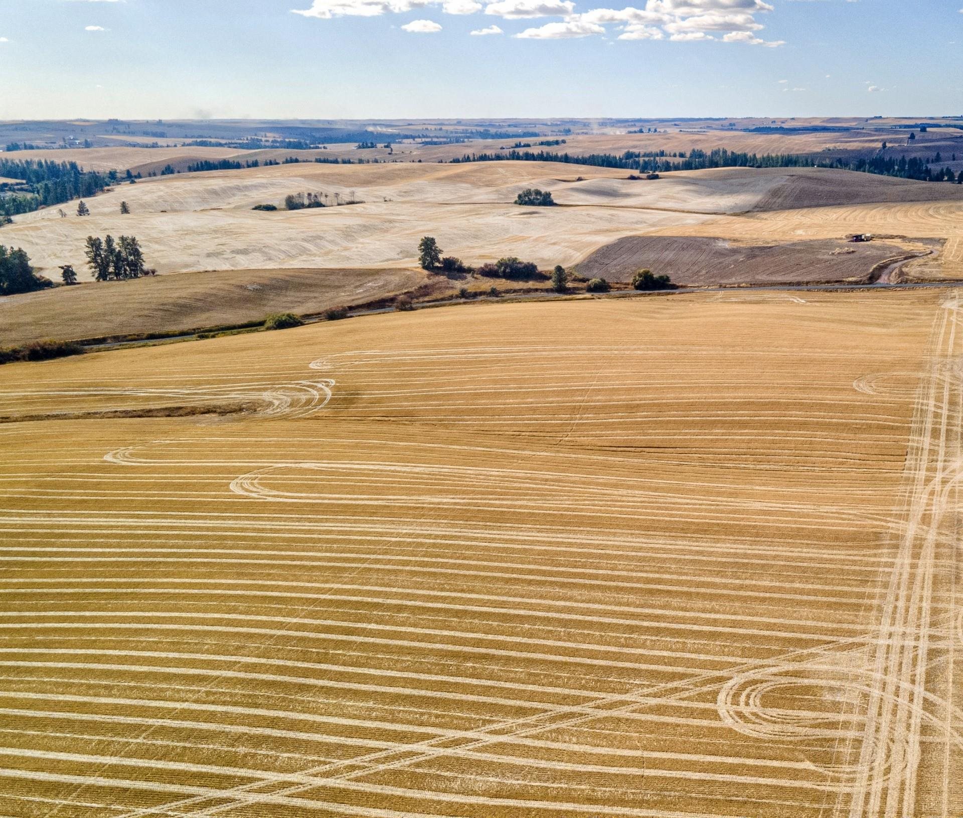 19207 South Harvard Road Rockford, WA 99030 - Photo 4 of 5