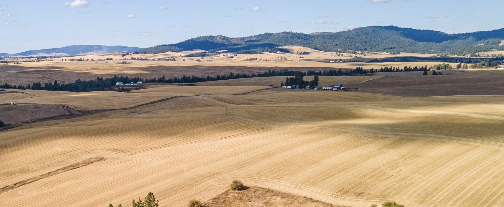 19207 South Harvard Road Rockford, WA 99030 - Photo 5 of 5