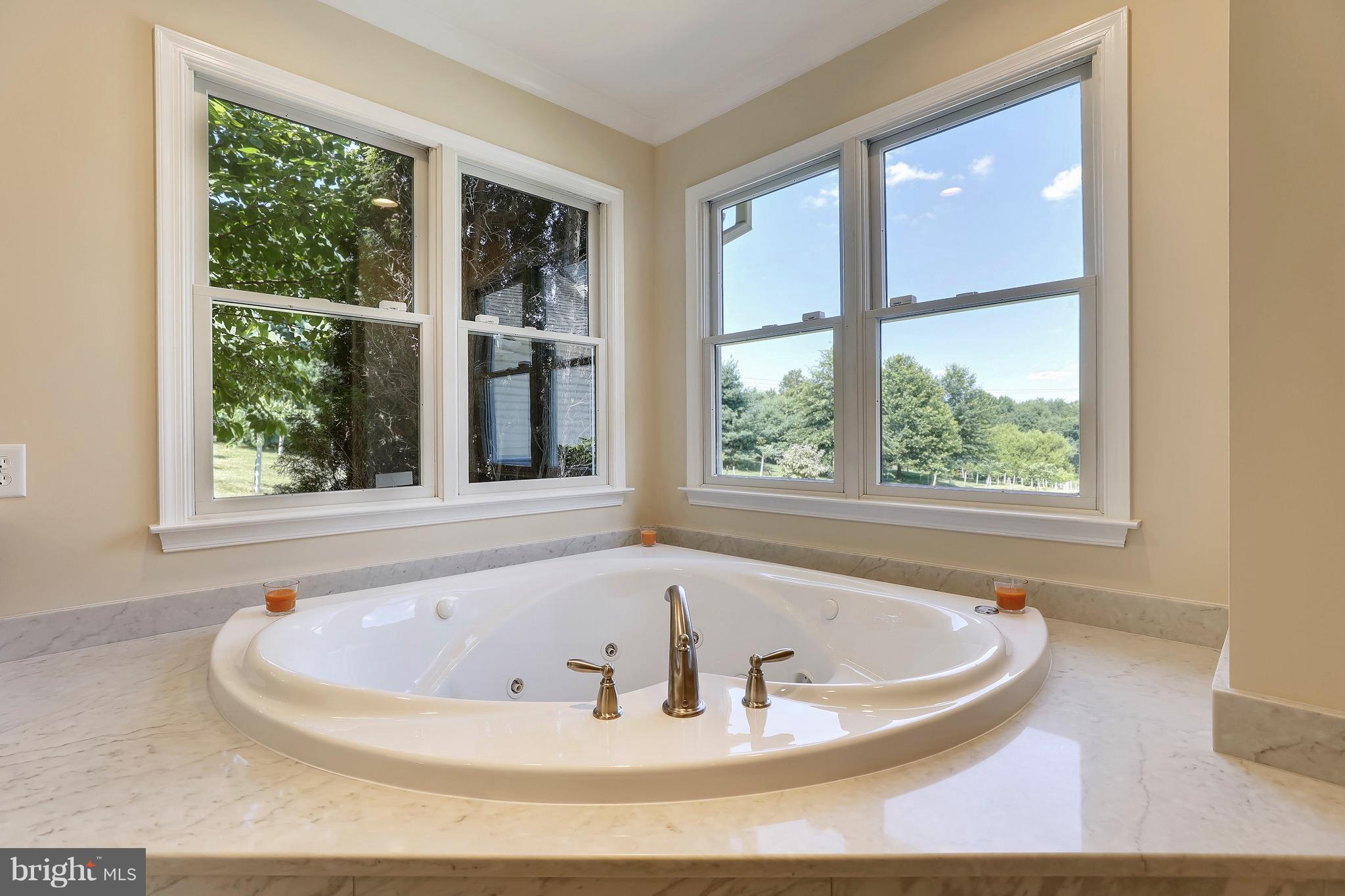 3810 Boteler Road Mount Airy, MD 21771 - Photo 14 of 30 Bath (Master)