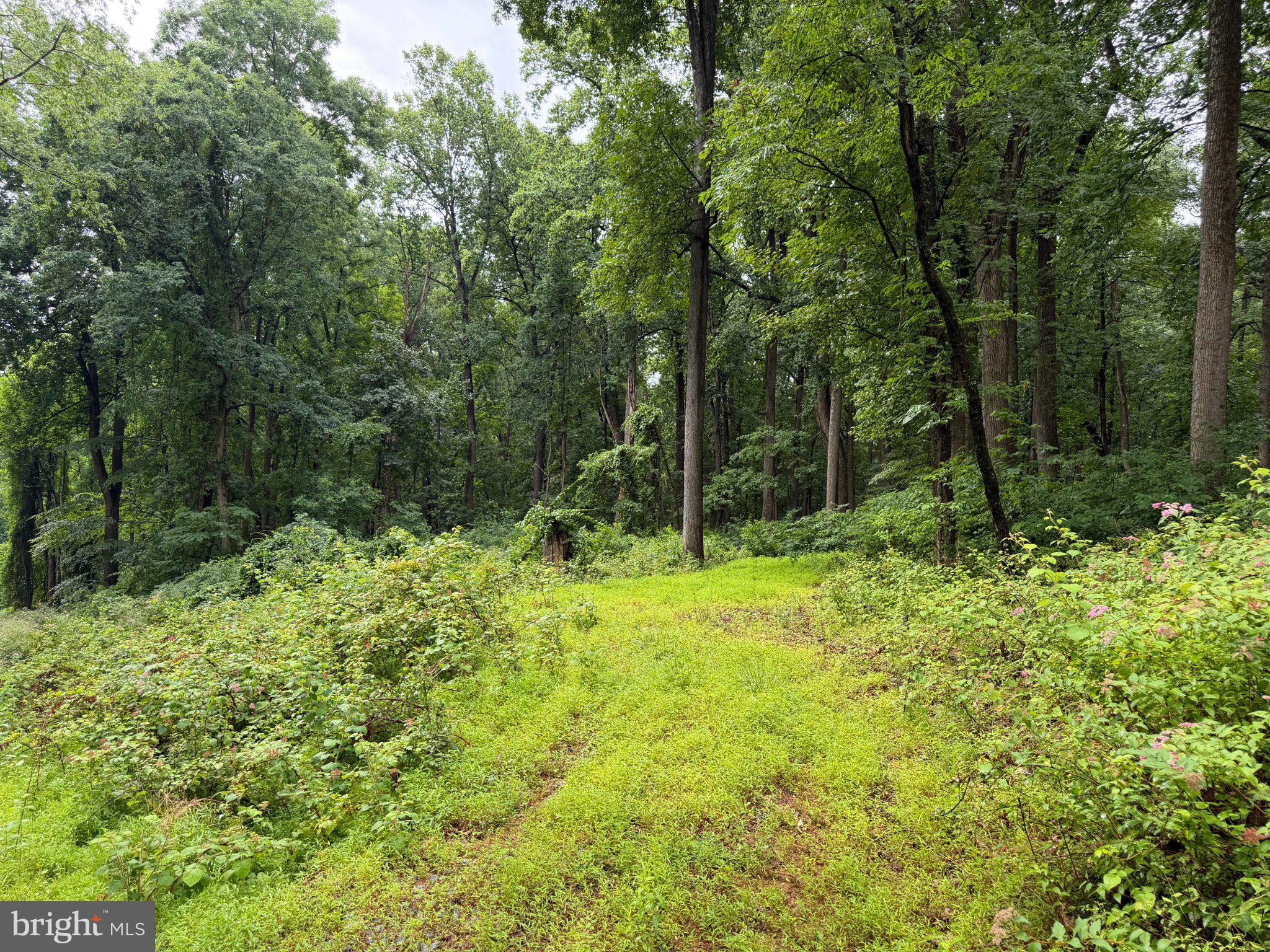 5-9 Oak Ridge Trail Fairfield, PA 17320 - Photo 5 of 5
