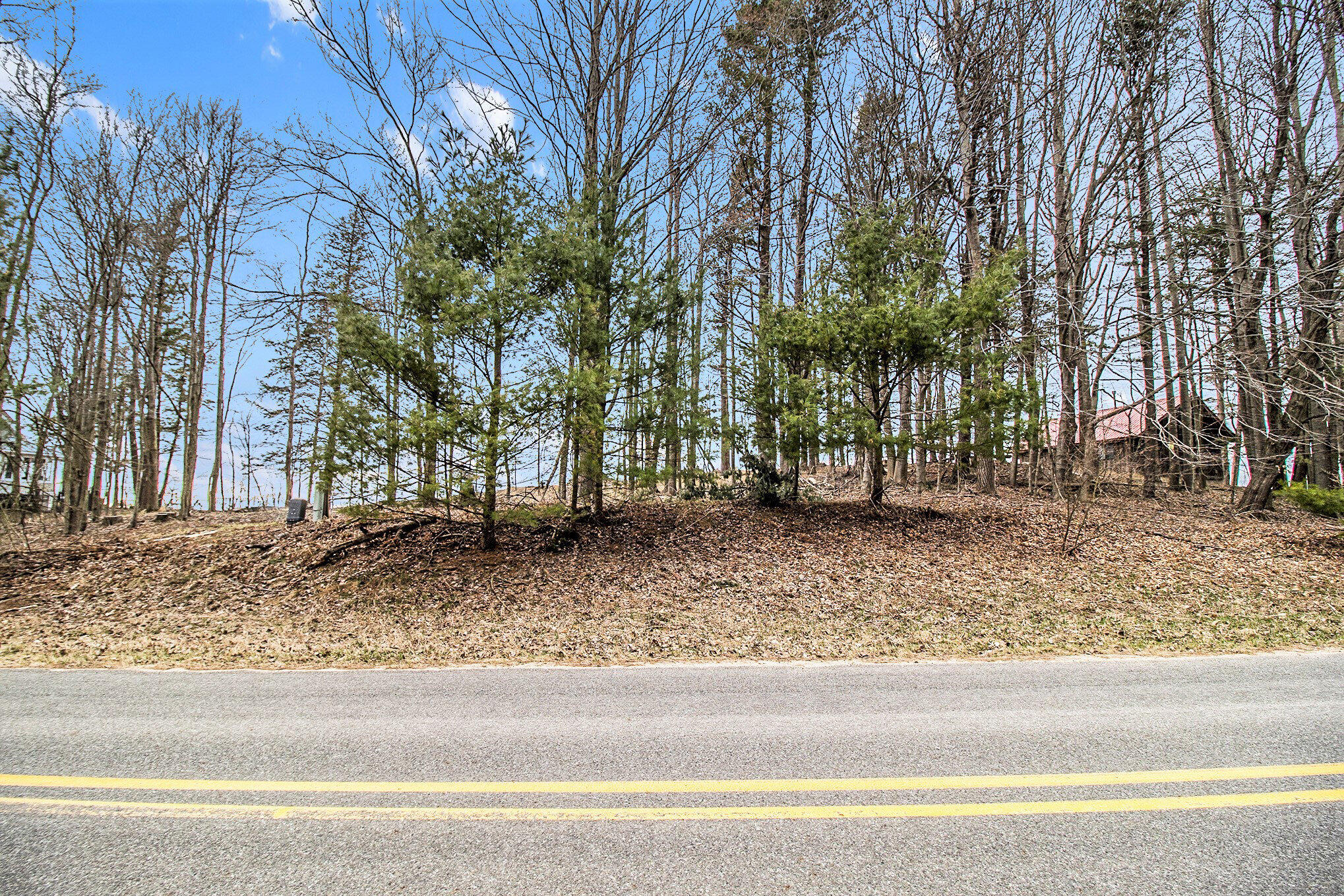 Lot 10 West Fox Farm Road Manistee, MI 49660 - Photo 6 of 12 005_5r6a8807_781