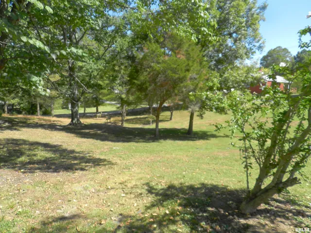 $79,900 | 316 Williams Street, Rosiclare, IL 62982